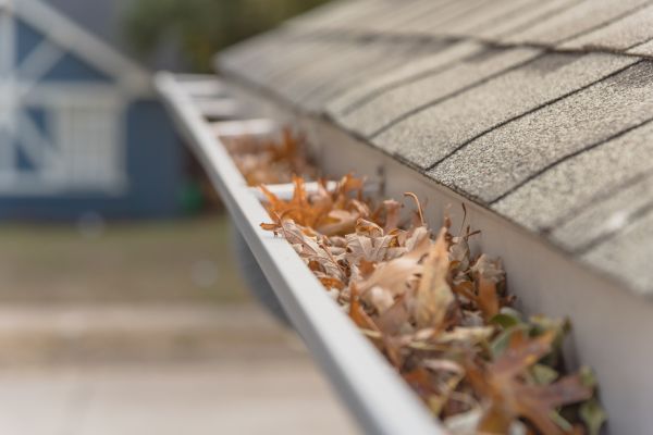 Leaf Barrier Installation in Canton